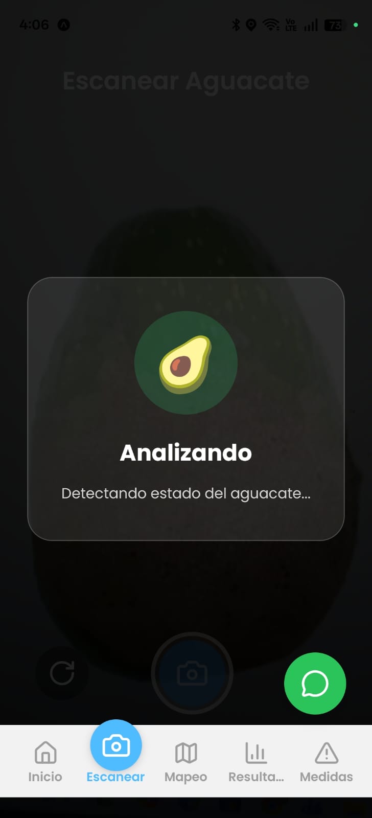 AVOTEX - Resultados