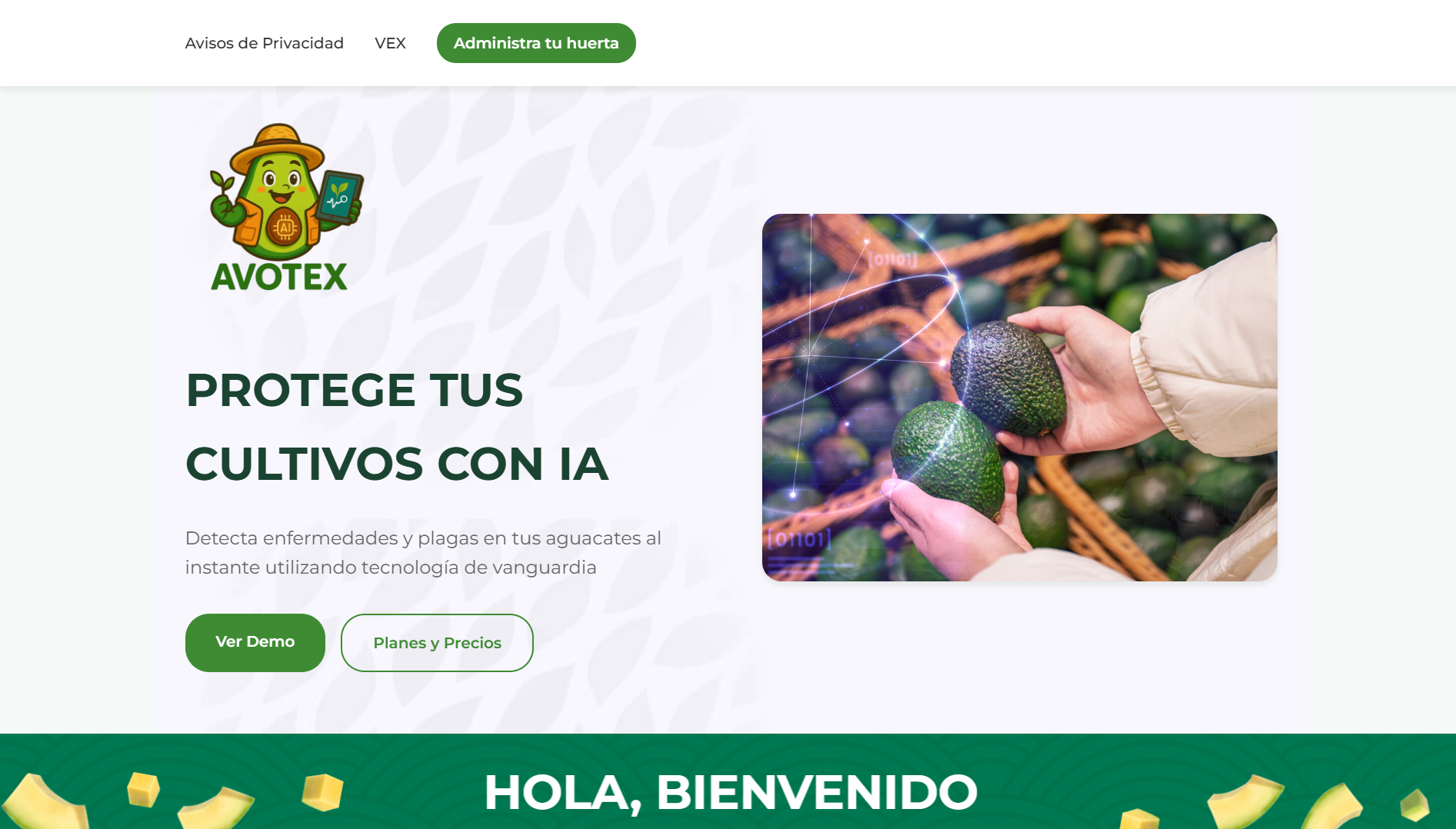 Vista previa de la plataforma de inteligencia agrícola Avotex